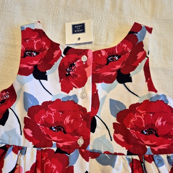 Janie and Jack girls size 3 Poppy Park lined dress NWT - Picture 5 of 7